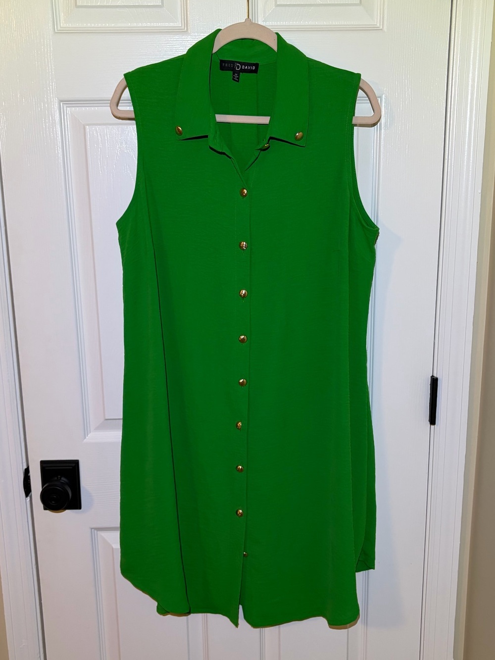 Fred David Sleeveless Button-Front Shift Dress or Tunic in Kelly Green. Size 1X